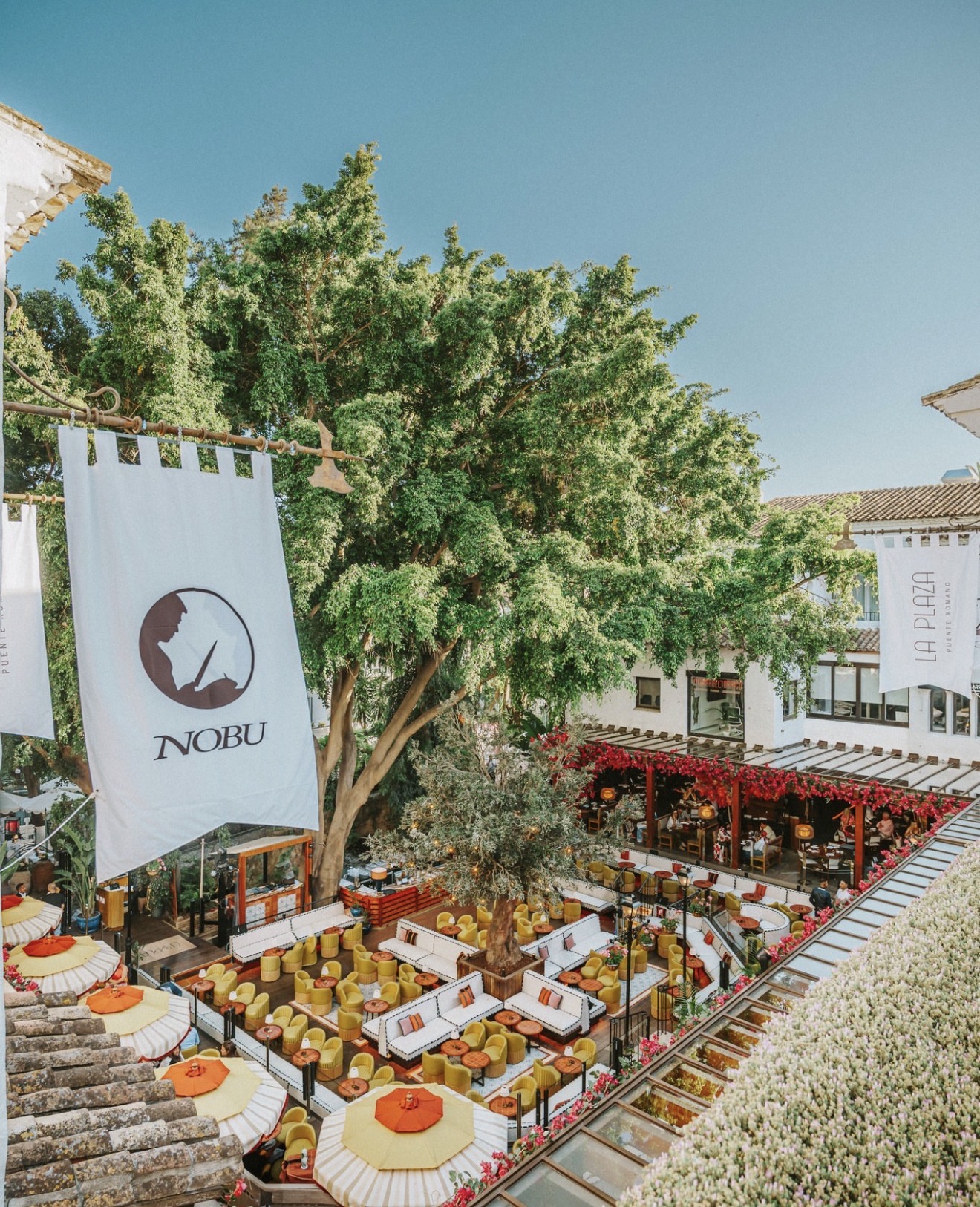 La Plaza Puente Romano by day, yellow armchairs and parasols under the fig tree beside Nobu Marbella